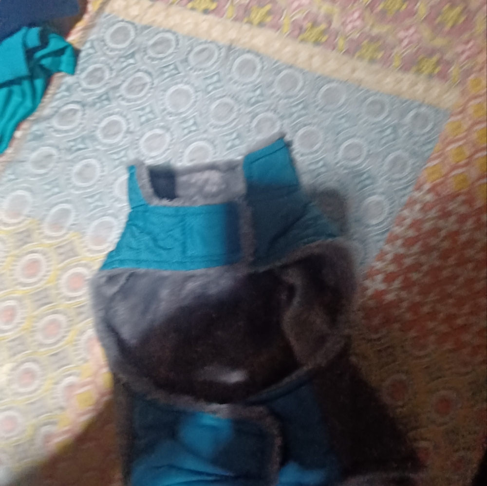 Dog jacket - Picture 6 of 6